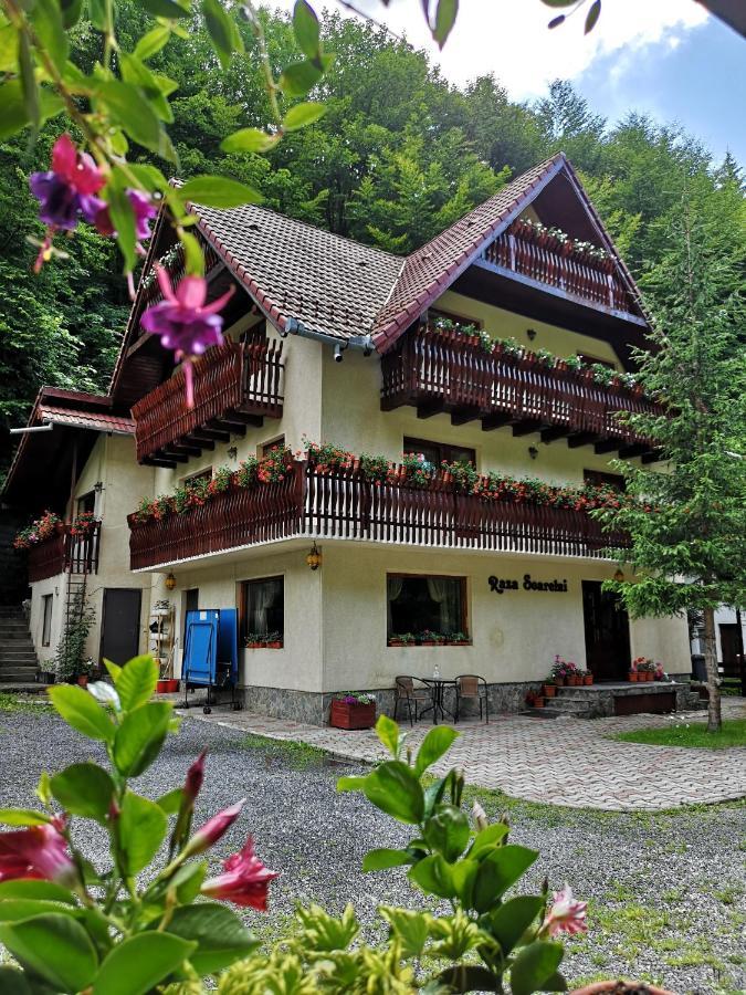 Raza Soarelui Hotell Moeciu De Sus Eksteriør bilde
