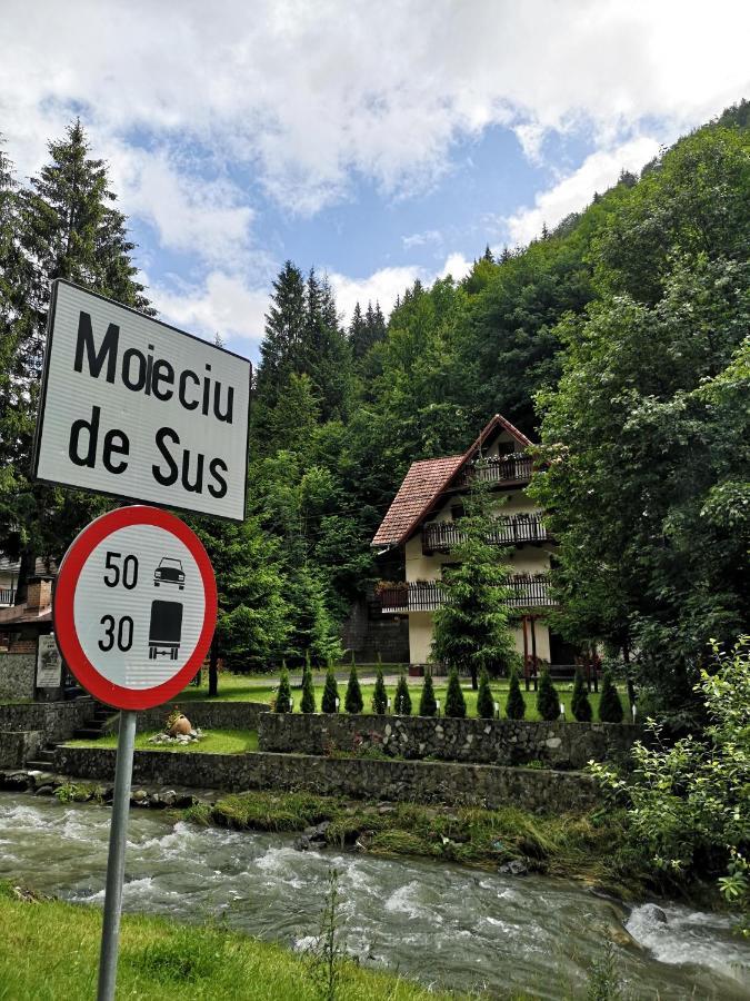 Raza Soarelui Hotell Moeciu De Sus Eksteriør bilde