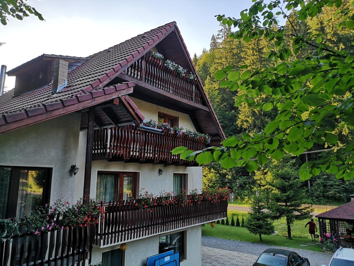Raza Soarelui Hotell Moeciu De Sus Eksteriør bilde