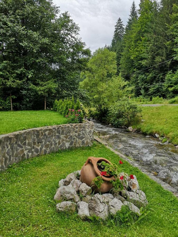 Raza Soarelui Hotell Moeciu De Sus Eksteriør bilde